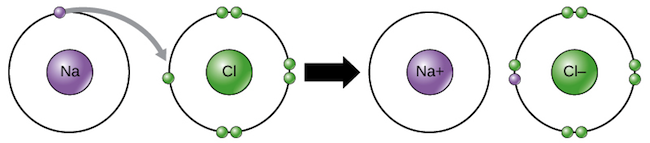 ion