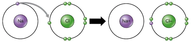 ion
